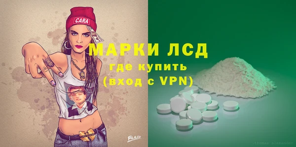 прущие грибы Надым
