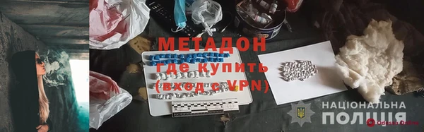 прущие грибы Надым