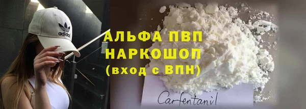 прущие грибы Надым