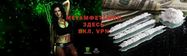 прущие грибы Надым