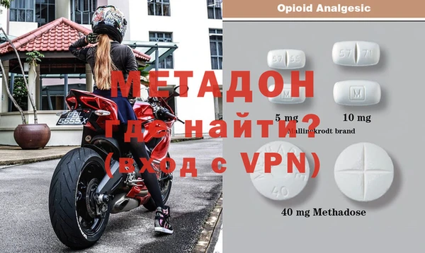 прущие грибы Надым