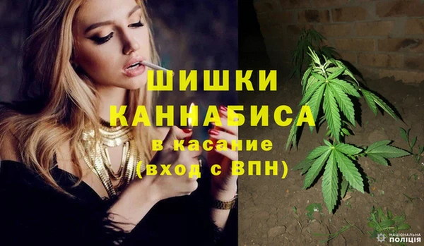 прущие грибы Надым