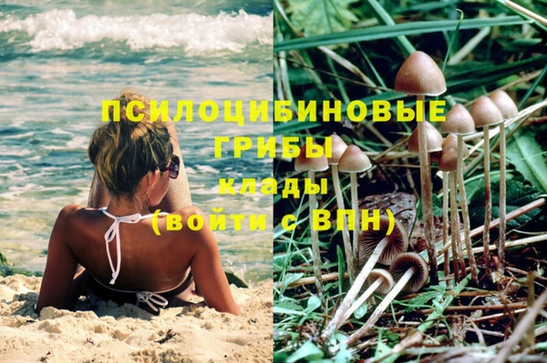 МДПВ Наволоки