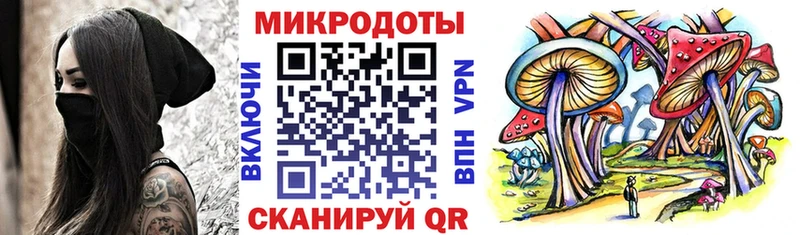 Псилоцибиновые грибы Psilocybine cubensis  Лукоянов 